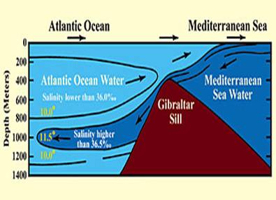 Figure 13 (Click here to enlarge)