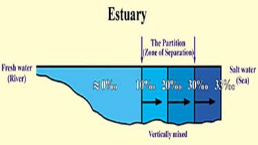 Figure 14 (Click here to enlarge)